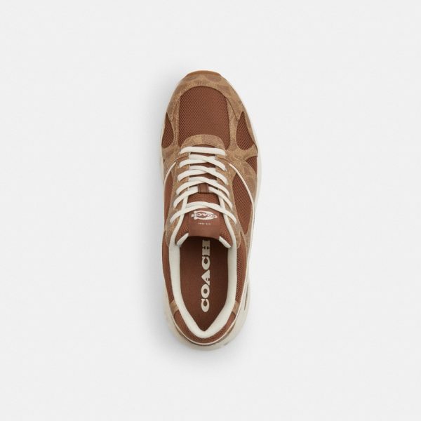Coach Outlet Sport Sneaker In Signature Canvas - Preorder