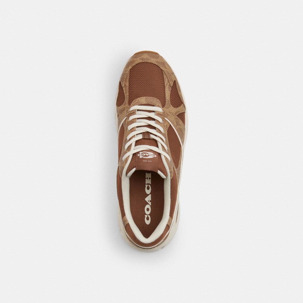 Coach Outlet Sport Sneaker In Signature Canvas - Preorder - Image 5