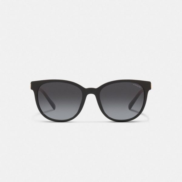 Coach Horse And Carriage Round Sunglasses - Preorder