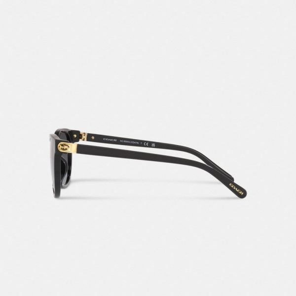 Coach Horse And Carriage Round Sunglasses - Preorder