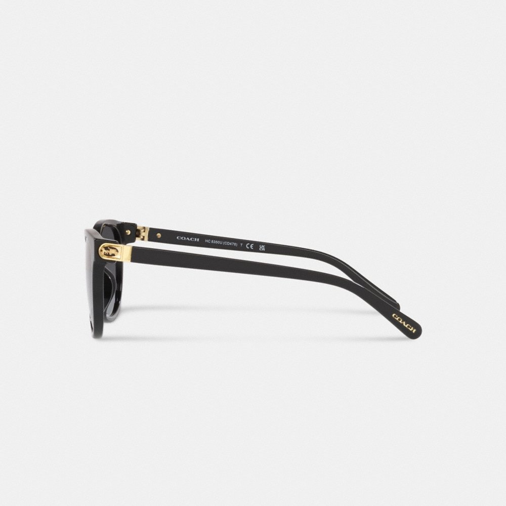 Coach Horse And Carriage Round Sunglasses - Preorder