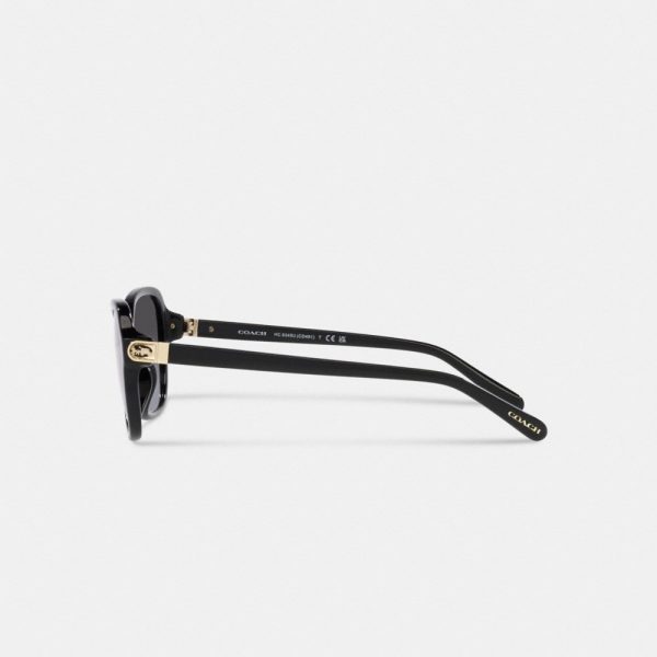 Coach Hinged Horse And Carriage Square Sunglasses - Preorder