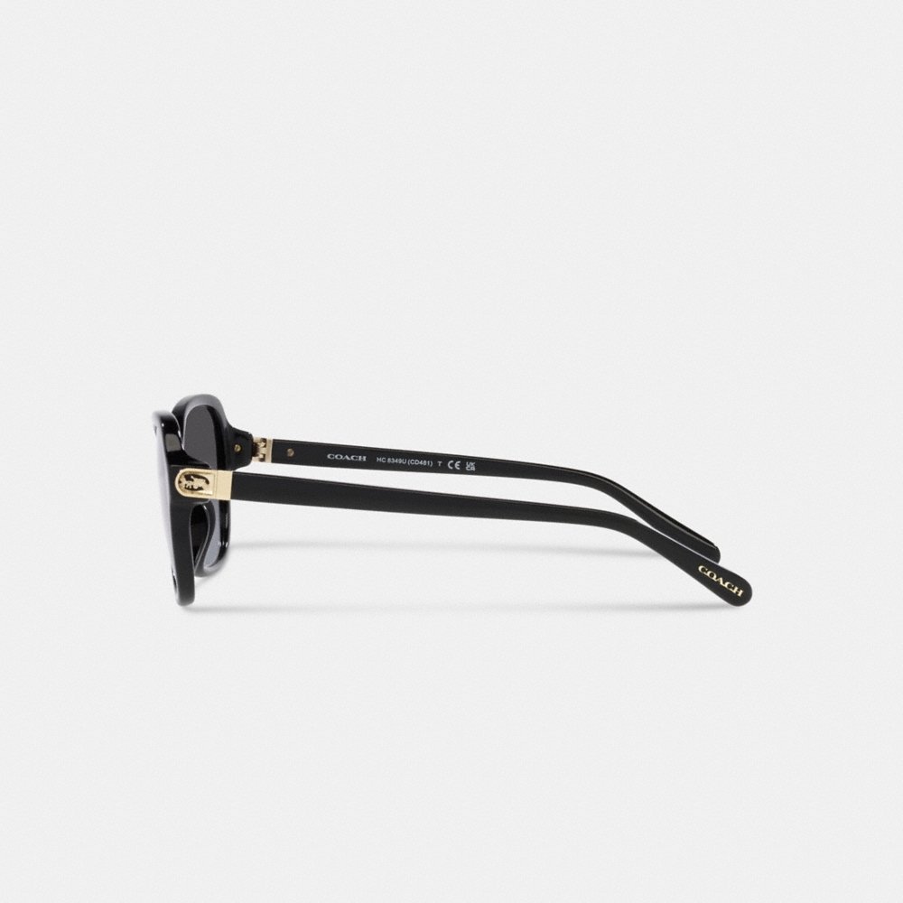 Coach Hinged Horse And Carriage Square Sunglasses - Preorder