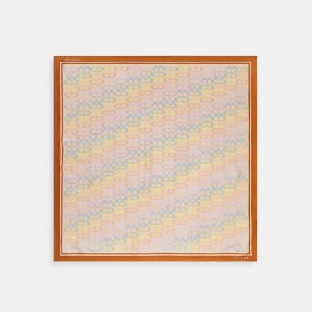 Coach Signature Rainbow Print Silk Square Scarf - Preorder — Multi