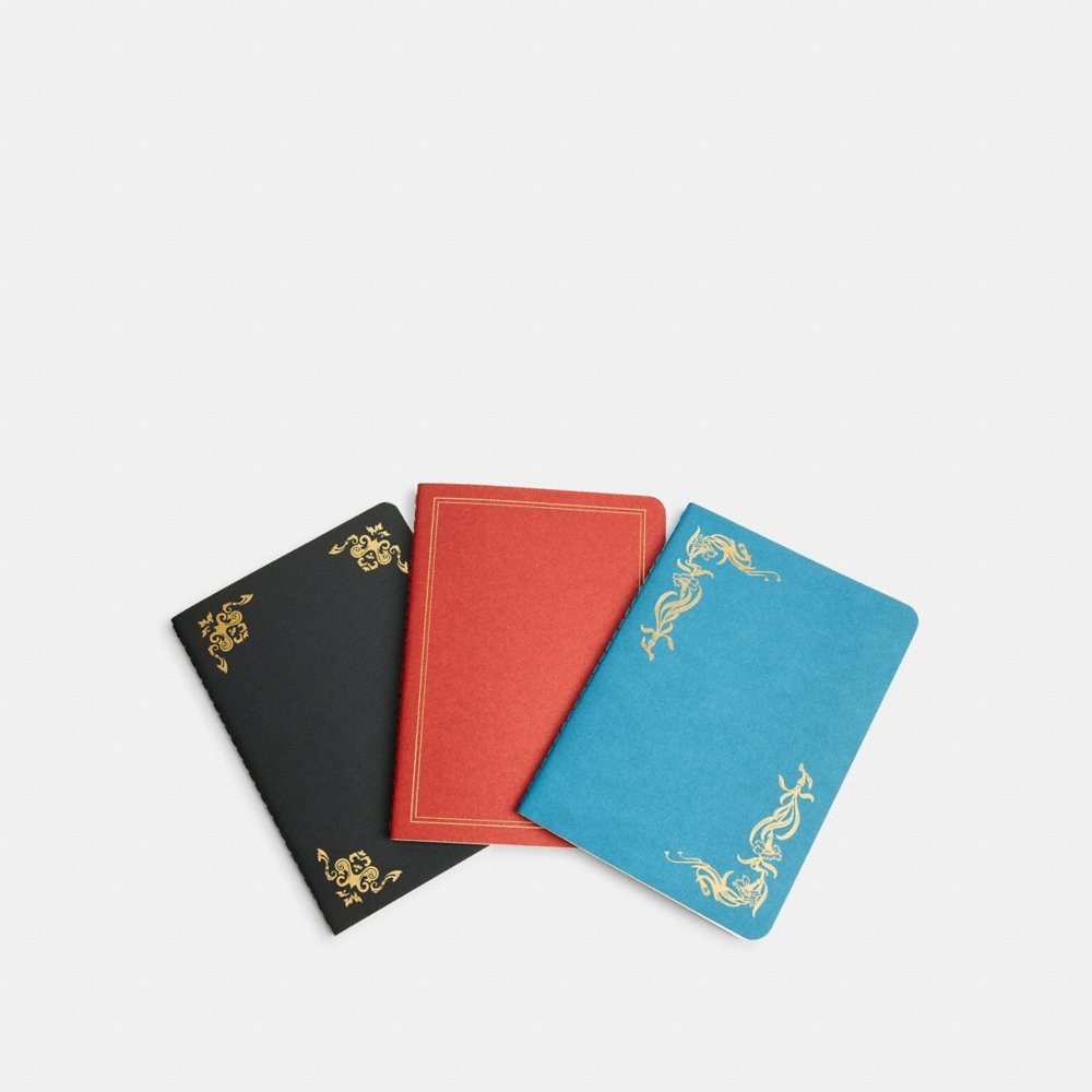 Coach Notebook Set - Preorder - Image 2